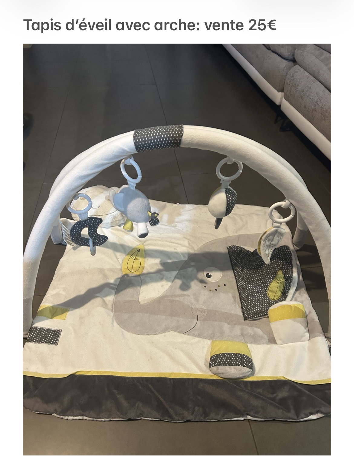Vente tapis d’éveil avec arche