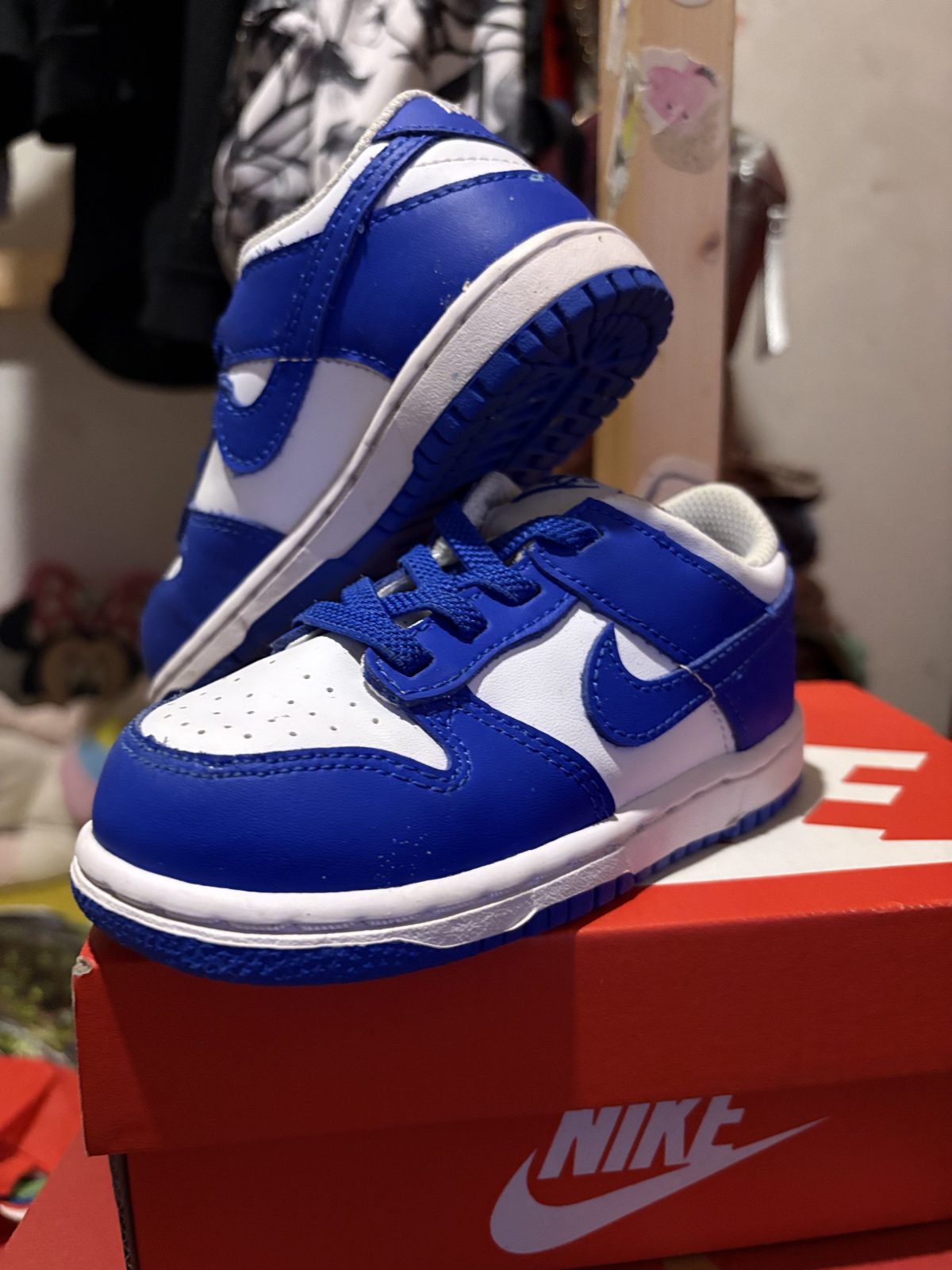 Dunk bleu