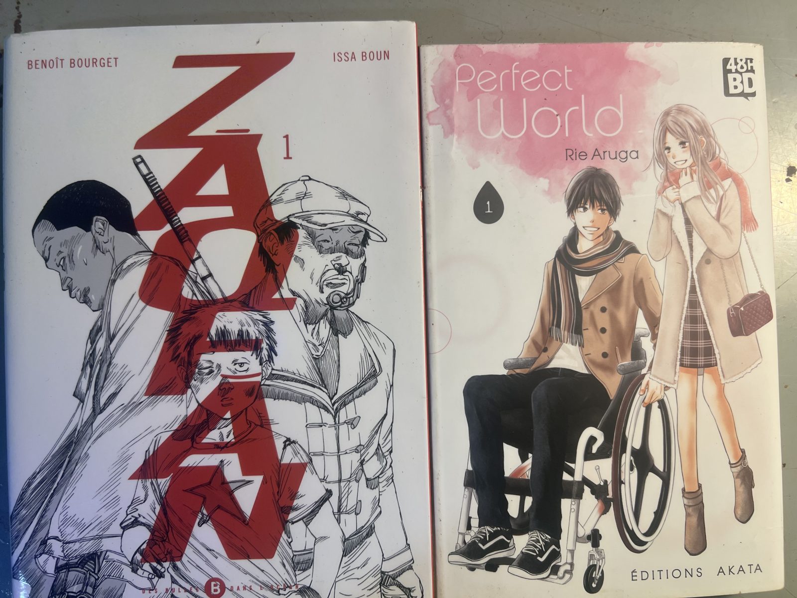 Lot de 2 livre