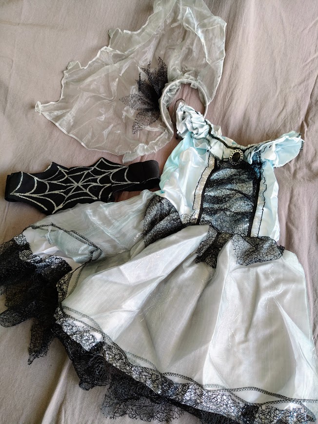 Robe et accessoire déguisement carnaval 6 ans NEUF